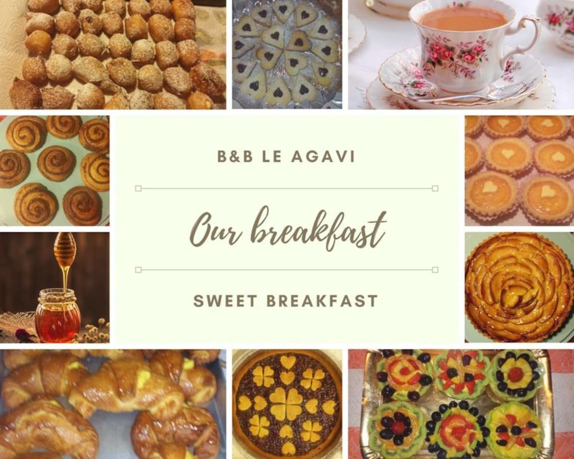 B&B Le Agavi Borso del Grappa Zewnętrze zdjęcie